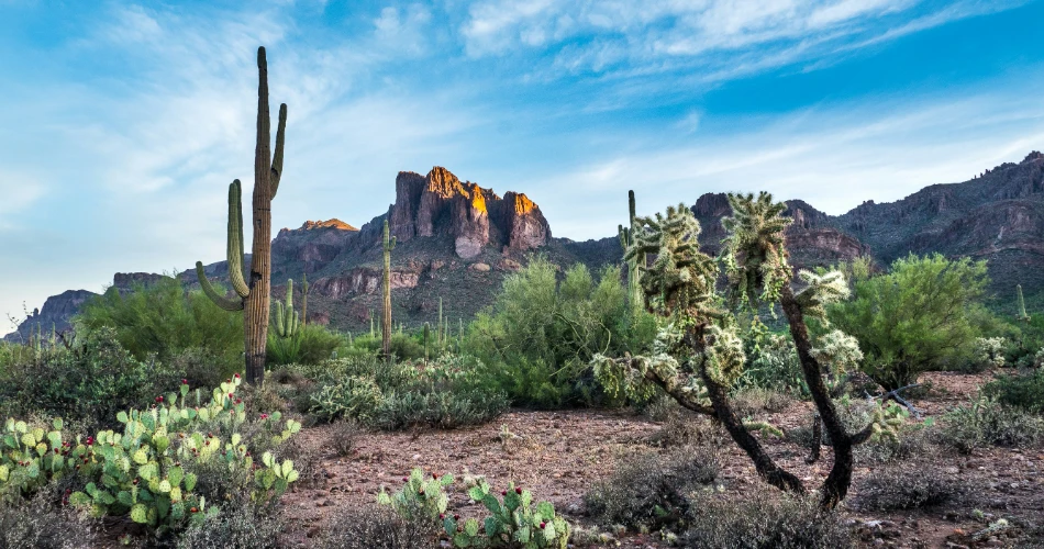10 Best Museums in Tucson